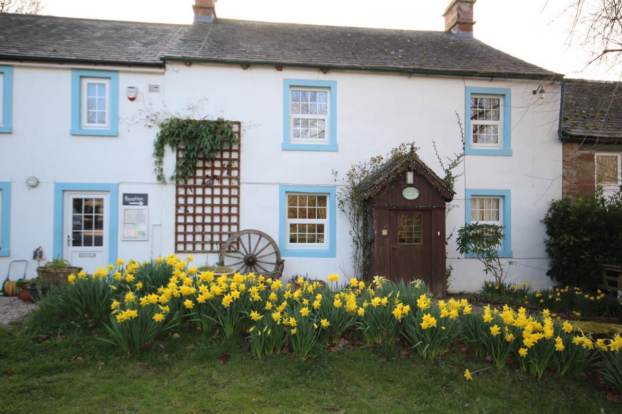 Wallace Lane Farm Westward Extérieur photo